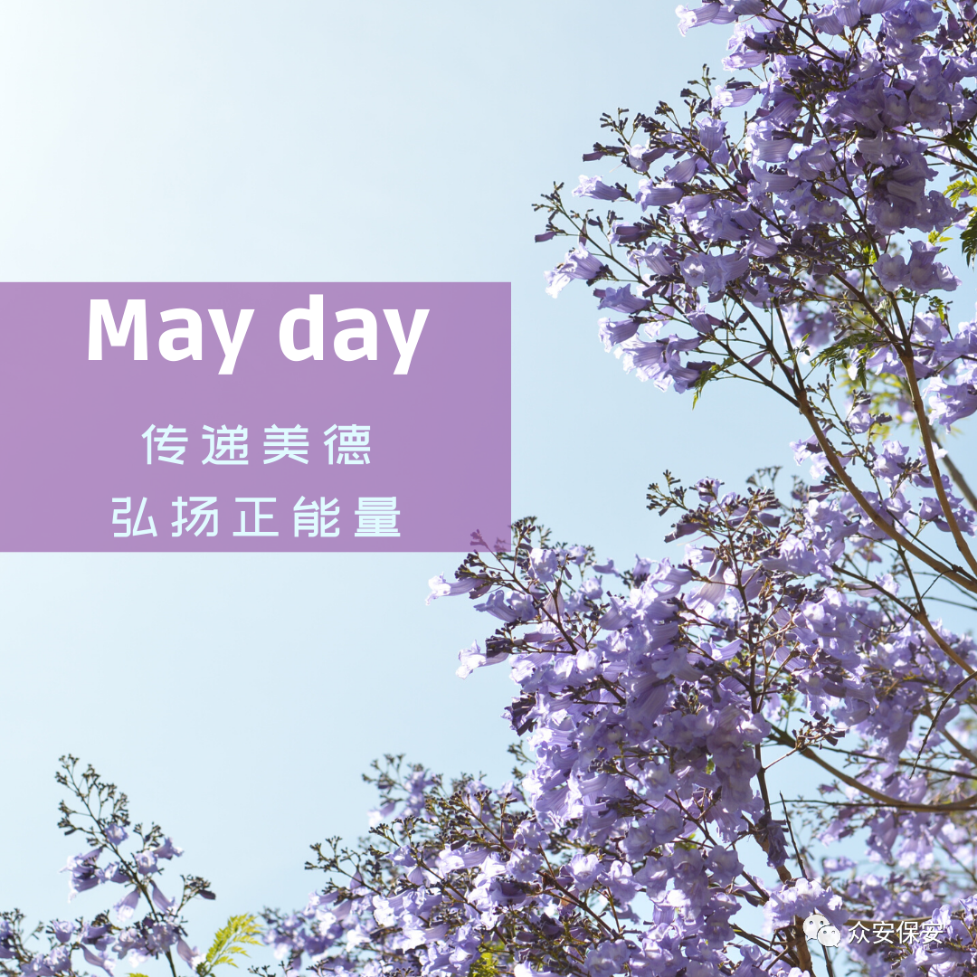 贊揚美德   傳遞正能量——云南眾安保安服務